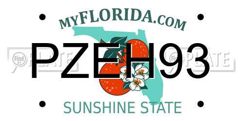 PZEH93 Florida License Plate