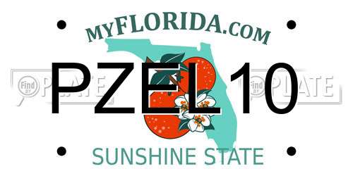 PZEL10 Florida License Plate