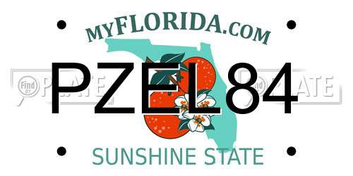 PZEL84 Florida License Plate