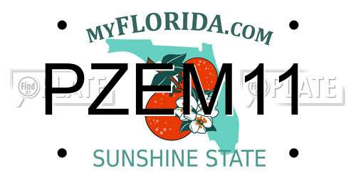 PZEM11 Florida License Plate