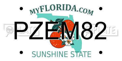 PZEM82 Florida License Plate