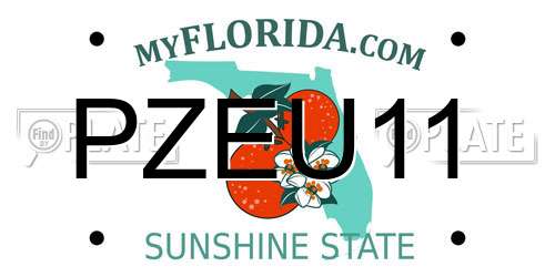 PZEU11 Florida License Plate