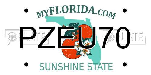 PZEU70 Florida License Plate