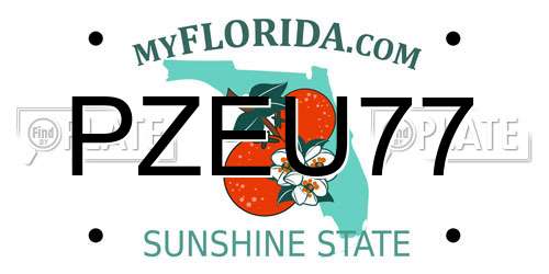 PZEU77 Florida License Plate