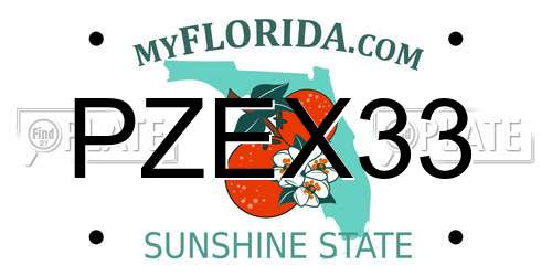 PZEX33 Florida License Plate