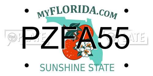 PZFA55 Florida License Plate