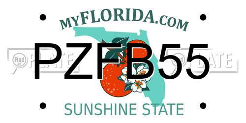 PZFB55 Florida License Plate