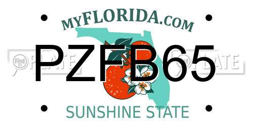PZFB65 Florida License Plate