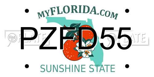 PZFD55 Florida License Plate