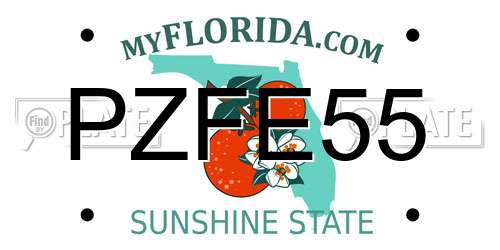 PZFE55 Florida License Plate