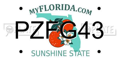 PZFG43 Florida License Plate