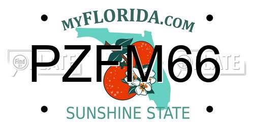 PZFM66 Florida License Plate