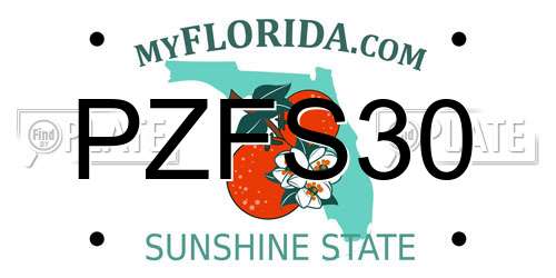 PZFS30 Florida License Plate
