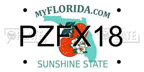 PZFX18 Florida License Plate
