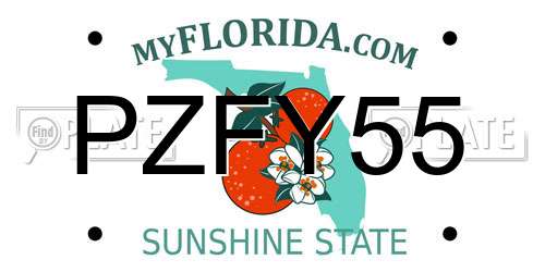 PZFY55 Florida License Plate
