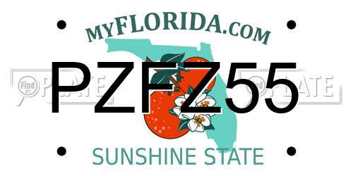 PZFZ55 Florida License Plate