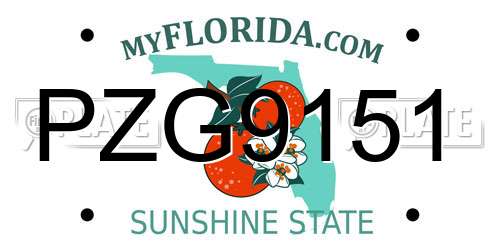 PZG9151 Florida License Plate