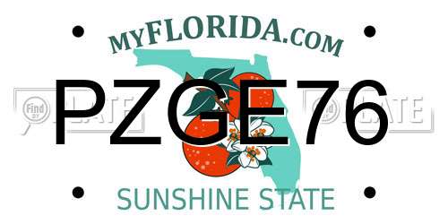 PZGE76 Florida License Plate