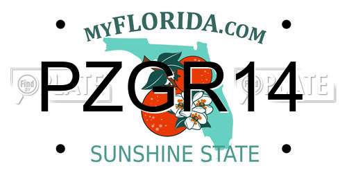 PZGR14 Florida License Plate