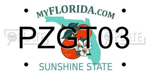 PZGT03 Florida License Plate