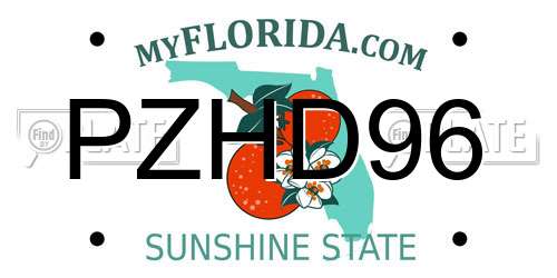 PZHD96 Florida License Plate