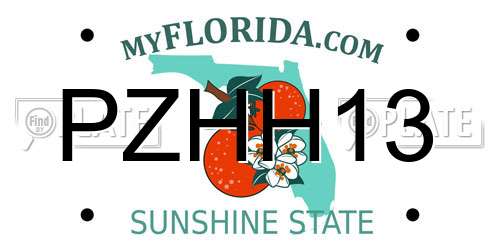 PZHH13 Florida License Plate