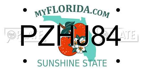 PZHJ84 Florida License Plate