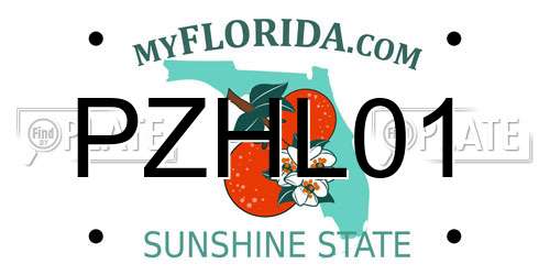 PZHL01 Florida License Plate