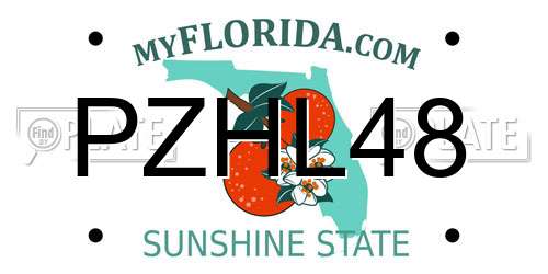 PZHL48 Florida License Plate