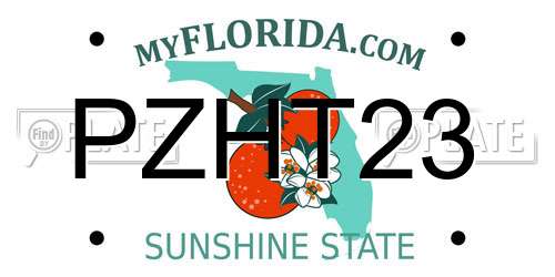 PZHT23 Florida License Plate