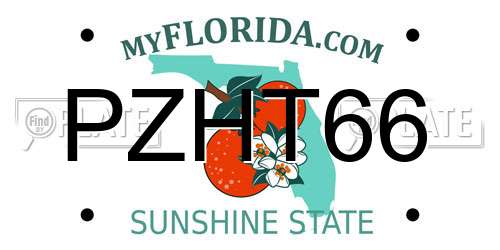PZHT66 Florida License Plate