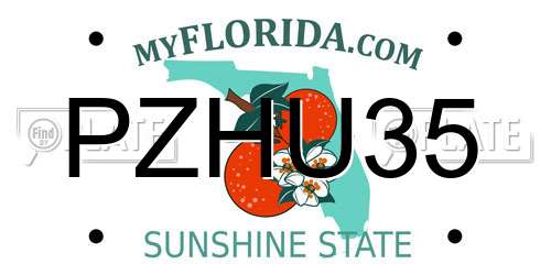 PZHU35 Florida License Plate
