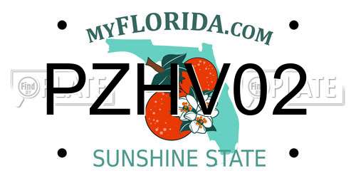 PZHV02 Florida License Plate