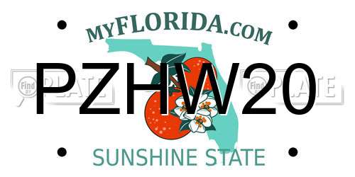 PZHW20 Florida License Plate