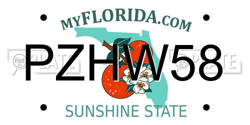 PZHW58 Florida License Plate