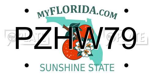 PZHW79 Florida License Plate