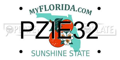 PZIE32 Florida License Plate