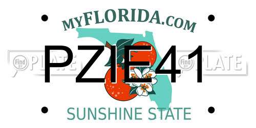 PZIE41 Florida License Plate
