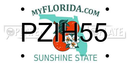 PZIH55 Florida License Plate