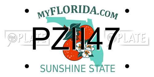 PZII47 Florida License Plate