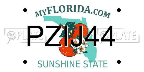 PZIJ44 Florida License Plate