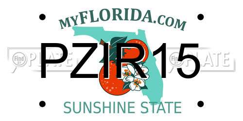 PZIR15 Florida License Plate