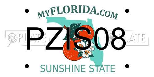 PZIS08 Florida License Plate