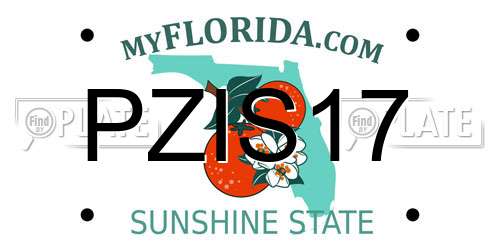 PZIS17 Florida License Plate