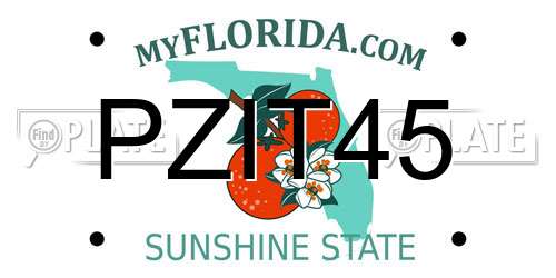 PZIT45 Florida License Plate