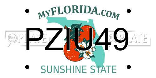 PZIU49 Florida License Plate