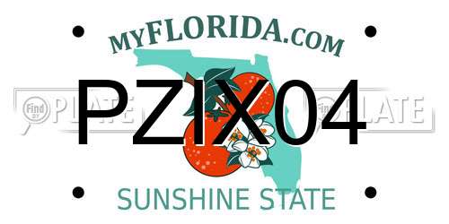 PZIX04 Florida License Plate