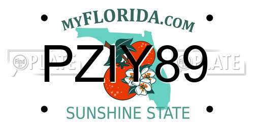PZIY89 Florida License Plate