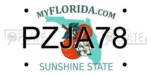 PZJA78 Florida License Plate