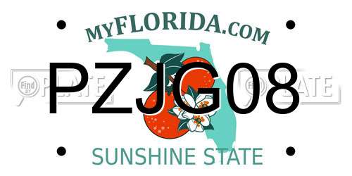 PZJG08 Florida License Plate